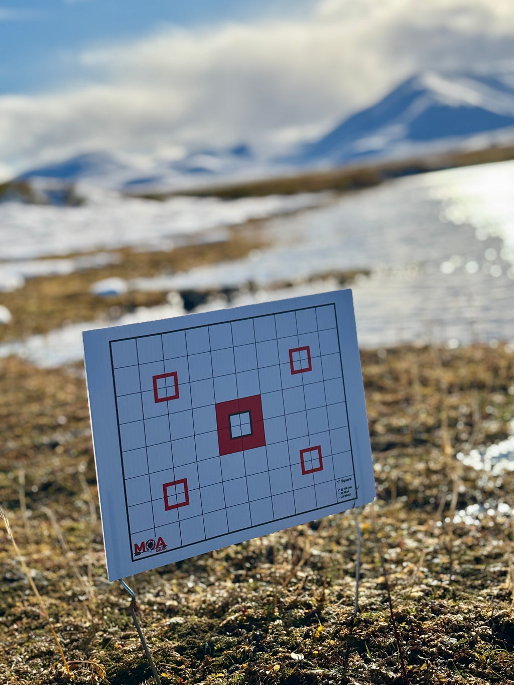 Offgrid Target